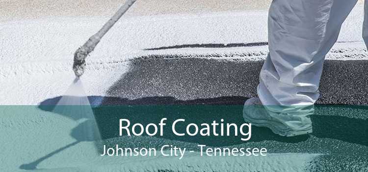 Roof Coating Johnson City - Tennessee