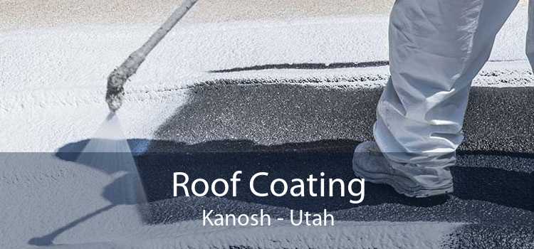 Roof Coating Kanosh - Utah