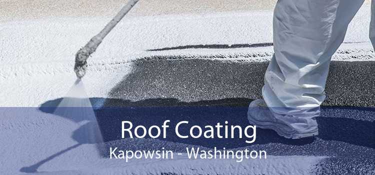 Roof Coating Kapowsin - Washington