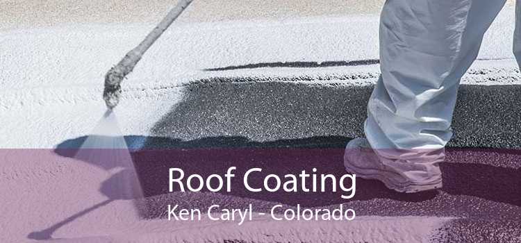Roof Coating Ken Caryl - Colorado