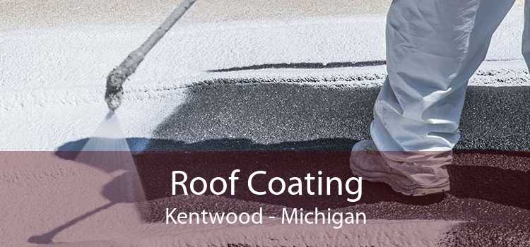 Roof Coating Kentwood - Michigan