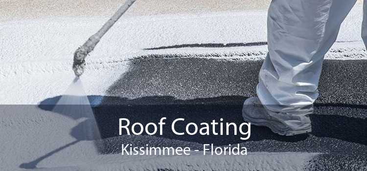 Roof Coating Kissimmee - Florida