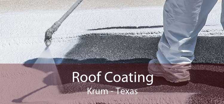 Roof Coating Krum - Texas