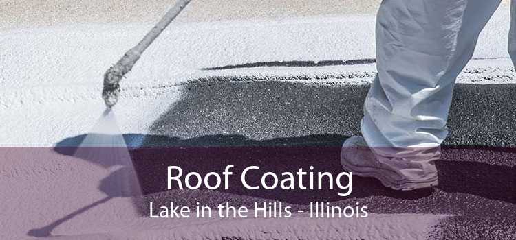 Roof Coating Lake in the Hills - Illinois