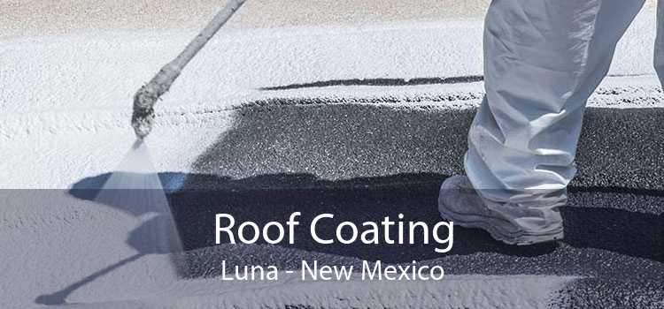 Roof Coating Luna - New Mexico