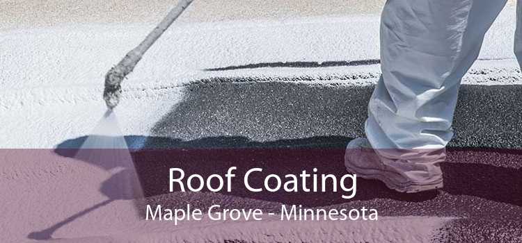Roof Coating Maple Grove - Minnesota