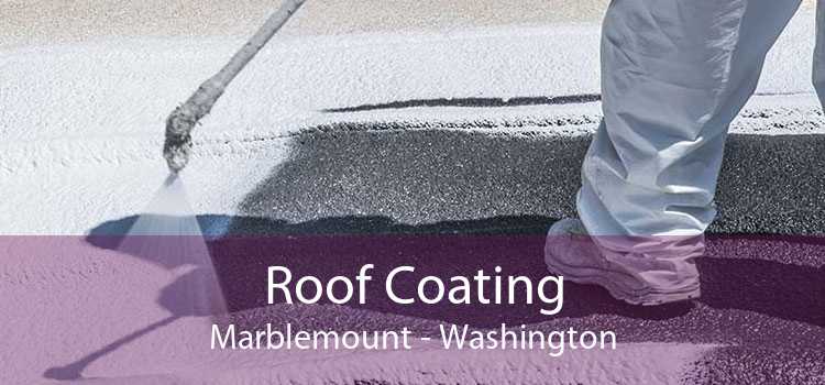 Roof Coating Marblemount - Washington