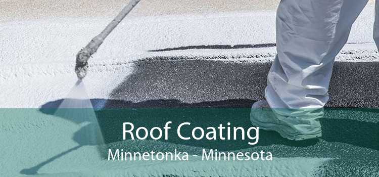 Roof Coating Minnetonka - Minnesota