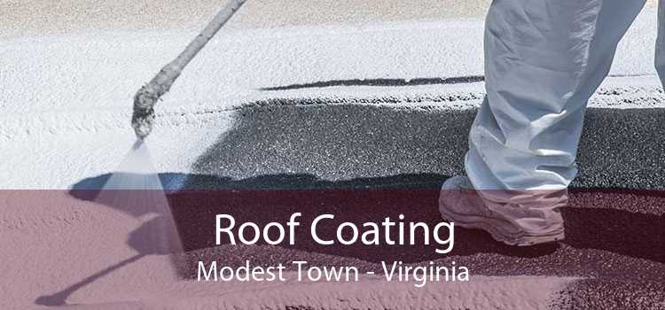 Roof Coating Modest Town - Virginia