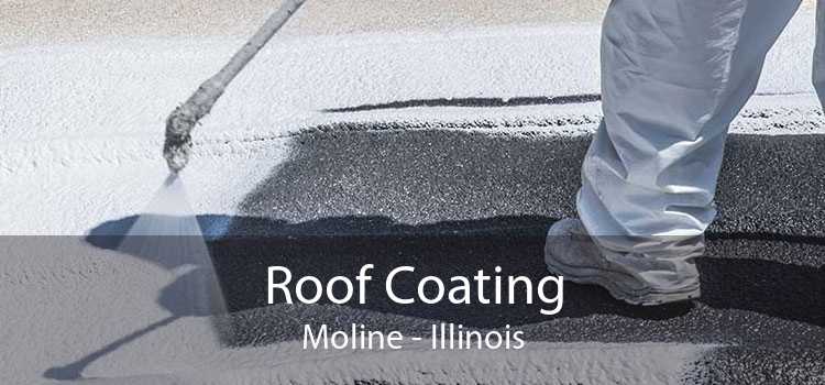 Roof Coating Moline - Illinois