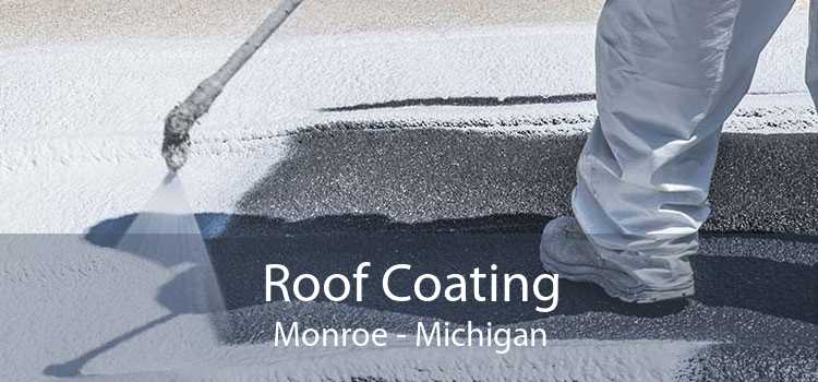 Roof Coating Monroe - Michigan