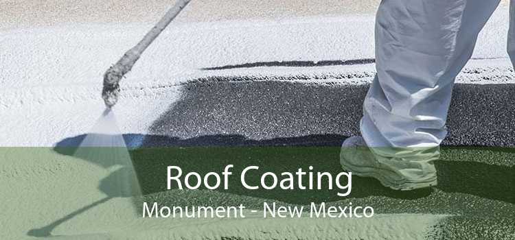 Roof Coating Monument - New Mexico