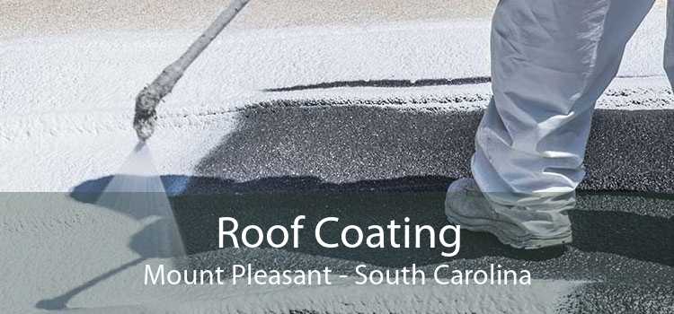 Roof Coating Mount Pleasant - South Carolina