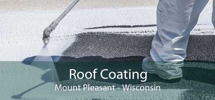 Roof Coating Mount Pleasant - Wisconsin