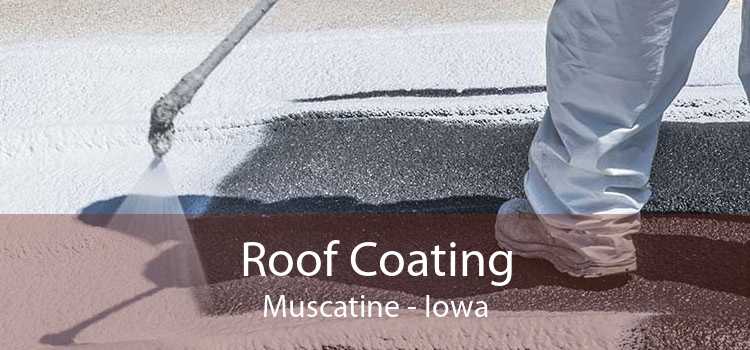 Roof Coating Muscatine - Iowa