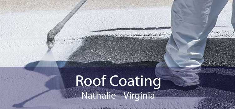 Roof Coating Nathalie - Virginia