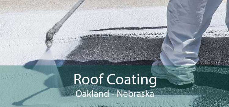 Roof Coating Oakland - Nebraska
