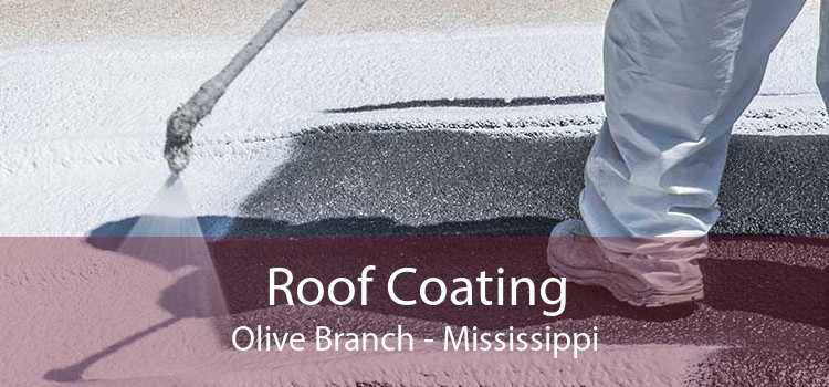 Roof Coating Olive Branch - Mississippi