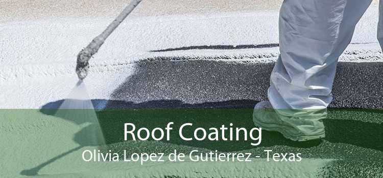 Roof Coating Olivia Lopez de Gutierrez - Texas