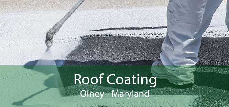 Roof Coating Olney - Maryland