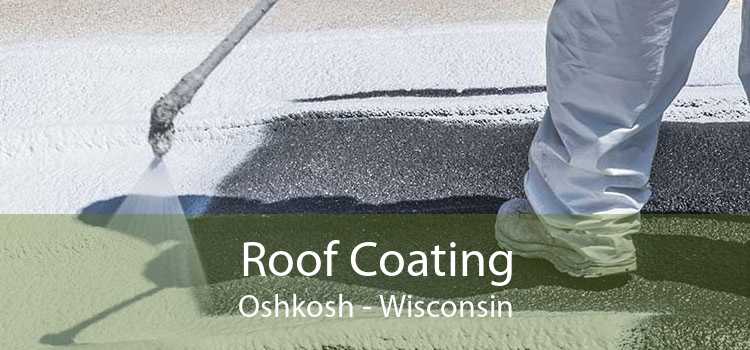 Roof Coating Oshkosh - Wisconsin