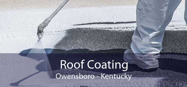 Roof Coating Owensboro - Kentucky