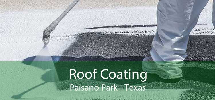 Roof Coating Paisano Park - Texas