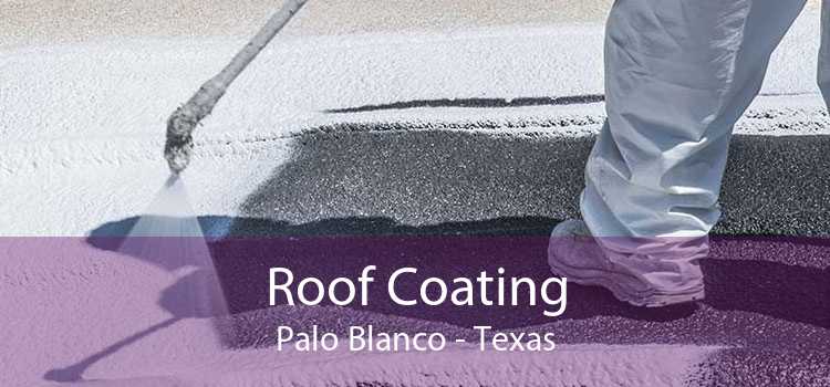 Roof Coating Palo Blanco - Texas