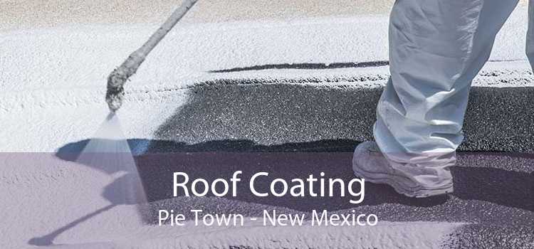 Roof Coating Pie Town - New Mexico