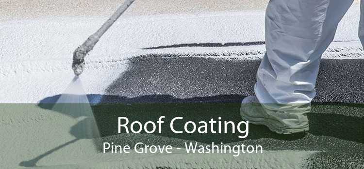 Roof Coating Pine Grove - Washington