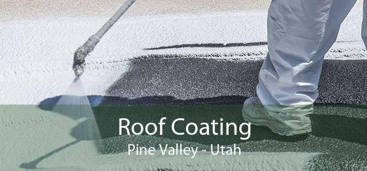 Roof Coating Pine Valley - Utah