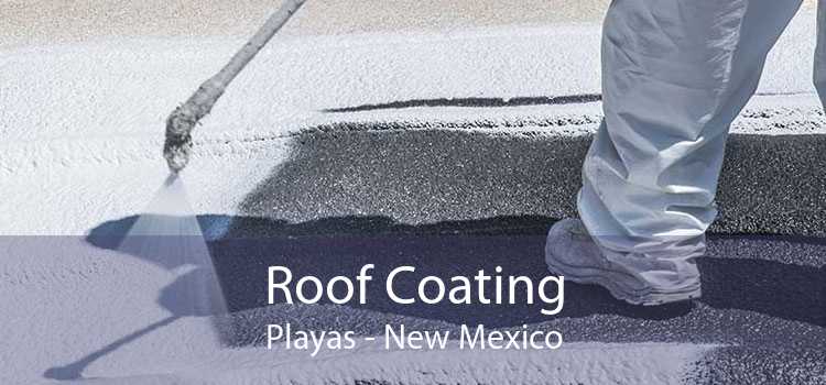 Roof Coating Playas - New Mexico