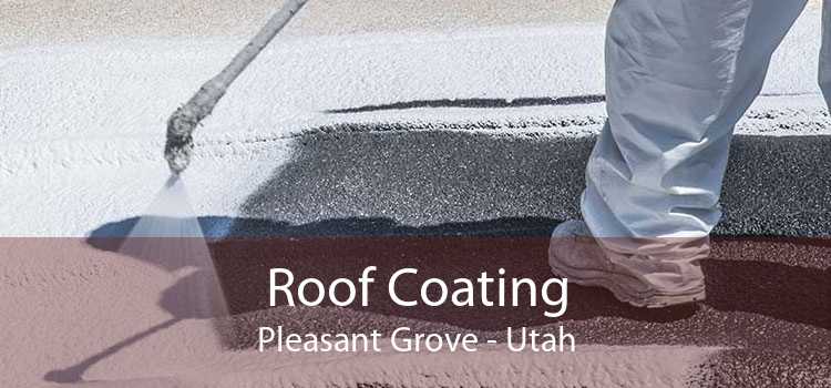 Roof Coating Pleasant Grove - Utah