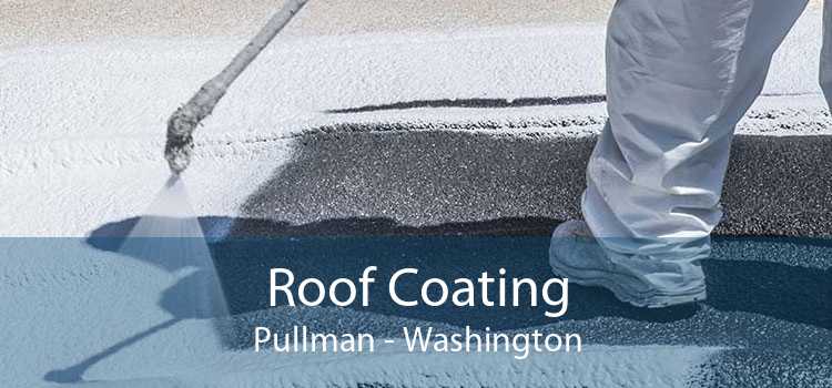 Roof Coating Pullman - Washington