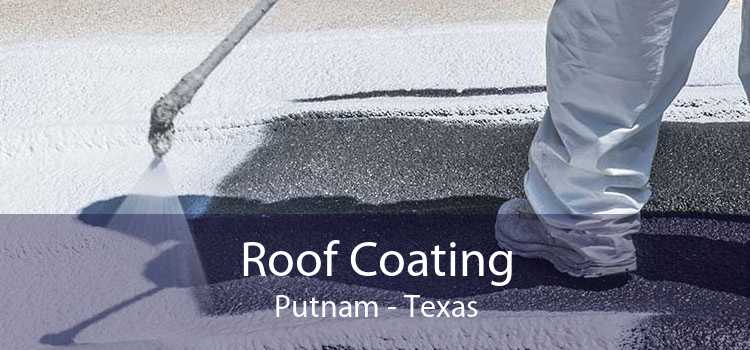 Roof Coating Putnam - Texas
