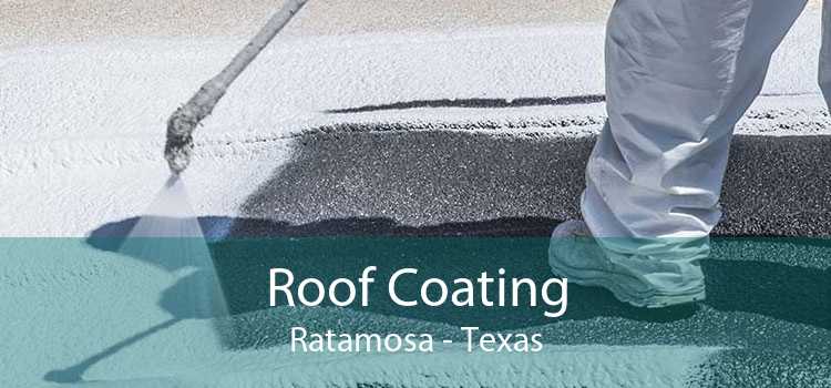 Roof Coating Ratamosa - Texas