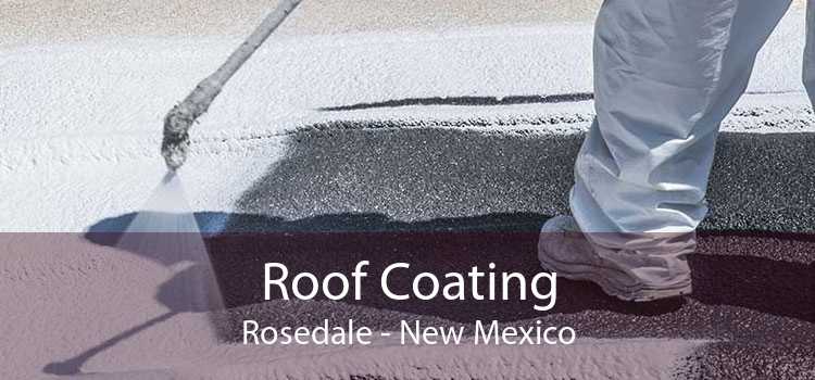 Roof Coating Rosedale - New Mexico