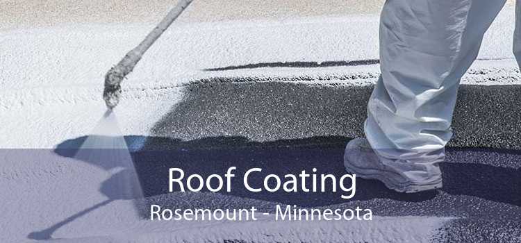 Roof Coating Rosemount - Minnesota