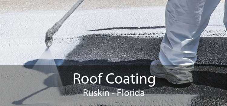 Roof Coating Ruskin - Florida