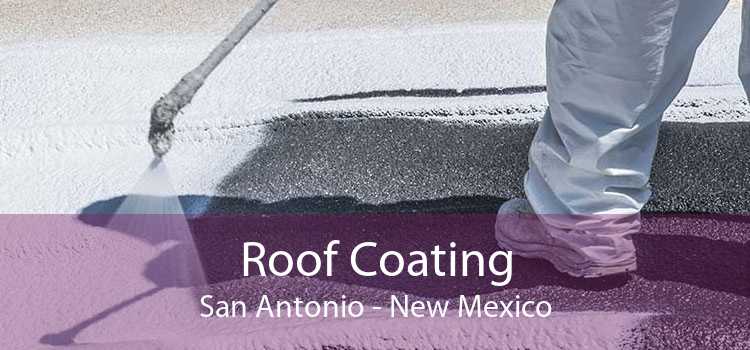 Roof Coating San Antonio - New Mexico