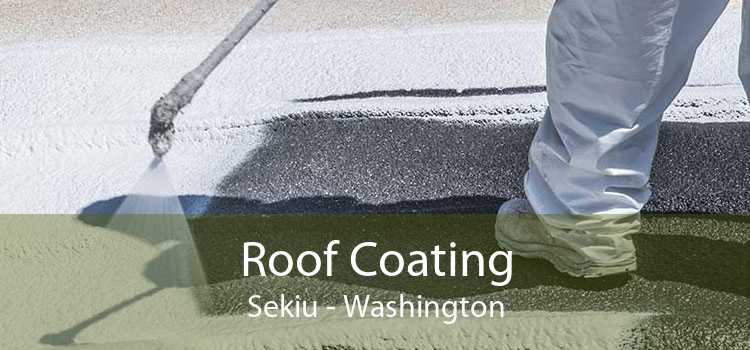 Roof Coating Sekiu - Washington