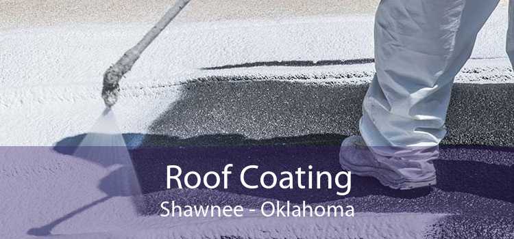 Roof Coating Shawnee - Oklahoma