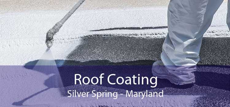 Roof Coating Silver Spring - Maryland