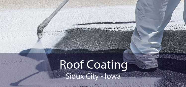 Roof Coating Sioux City - Iowa