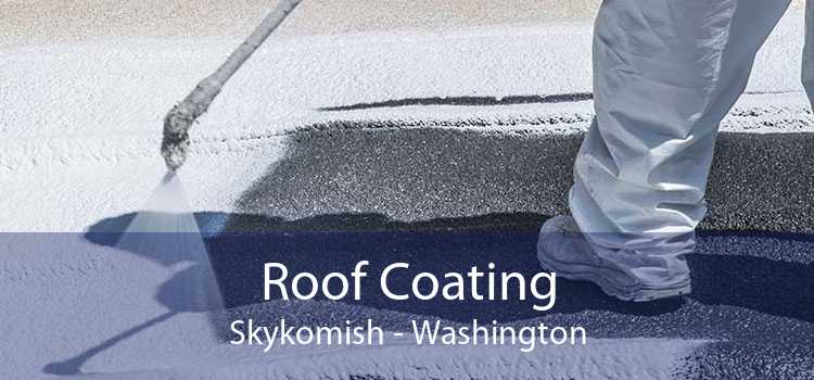 Roof Coating Skykomish - Washington
