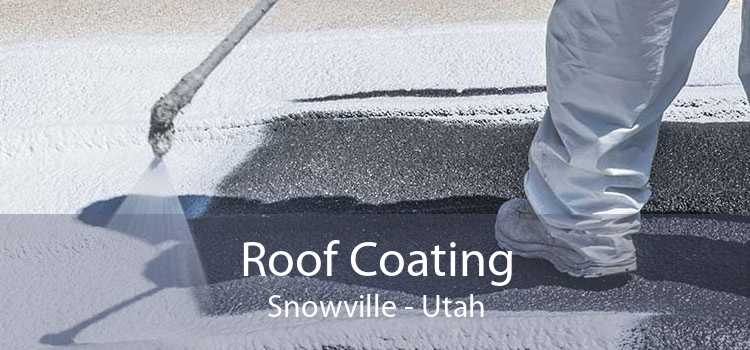 Roof Coating Snowville - Utah