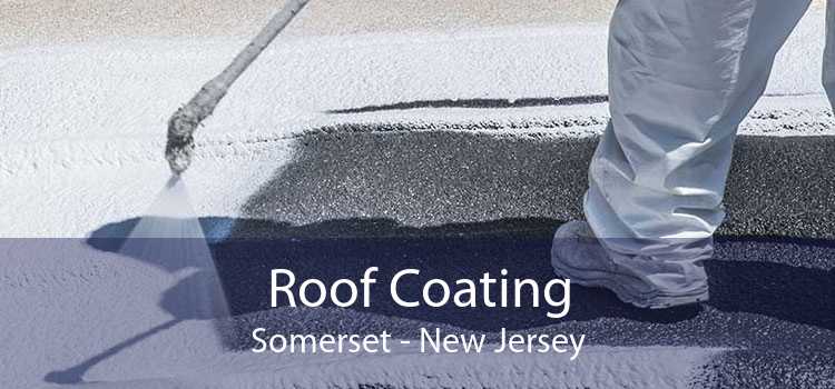 Roof Coating Somerset - New Jersey
