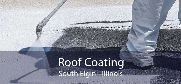 Roof Coating South Elgin - Illinois
