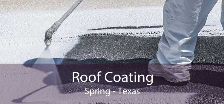 Roof Coating Spring - Texas