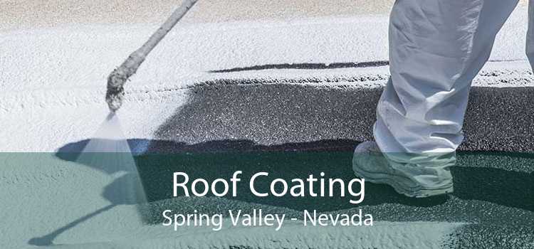 Roof Coating Spring Valley - Nevada